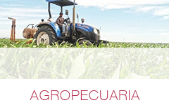 PyS - Agro